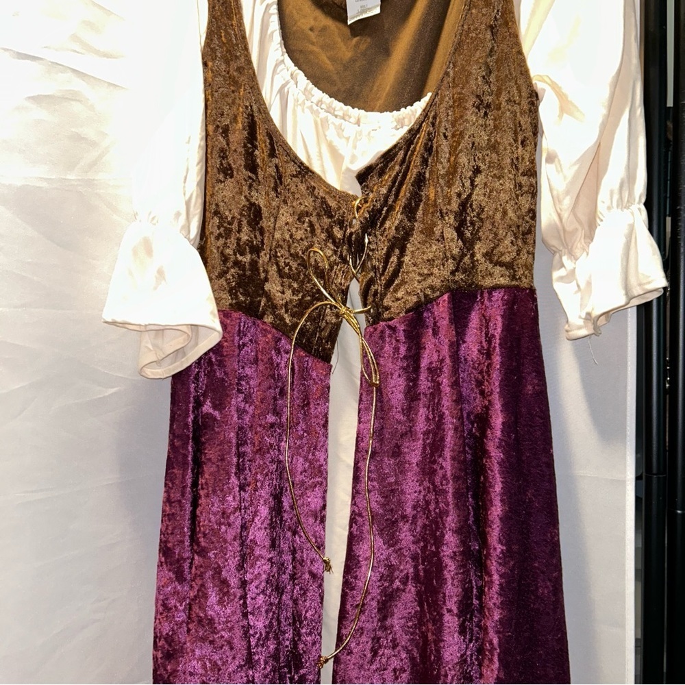 Plus size costume wench dress size large - Picture 4 of 5